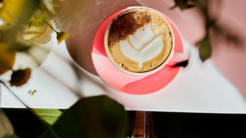 Interior of Bottega in Mueller