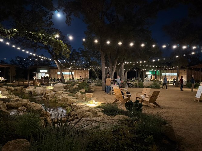 Interior of Leona Botanical Cafe & Bar in South Austin