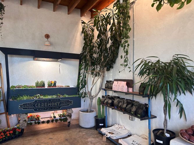 Interior of Palomino Coffee in East Austin