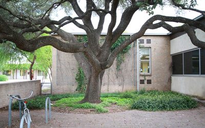 Terrazas Branch, Austin Public Library