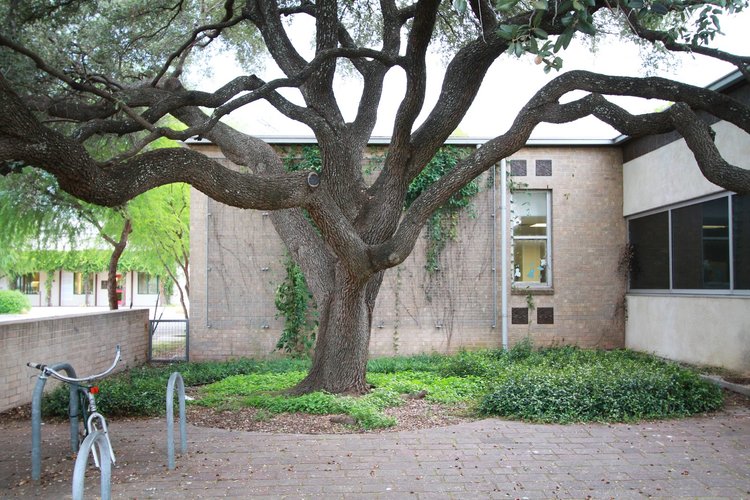 Interior of Terrazas Branch, Austin Public Library in East Austin