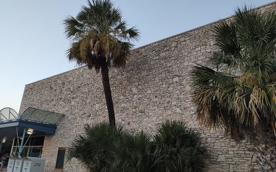 Yarborough Branch, Austin Public Library